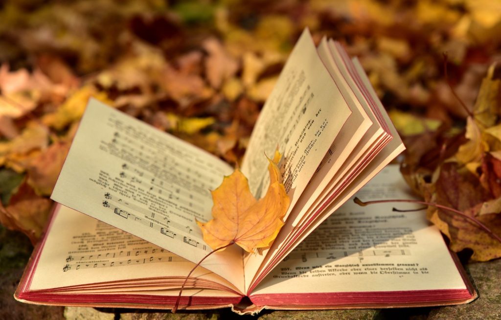 Liederbuch Blätter Herbst